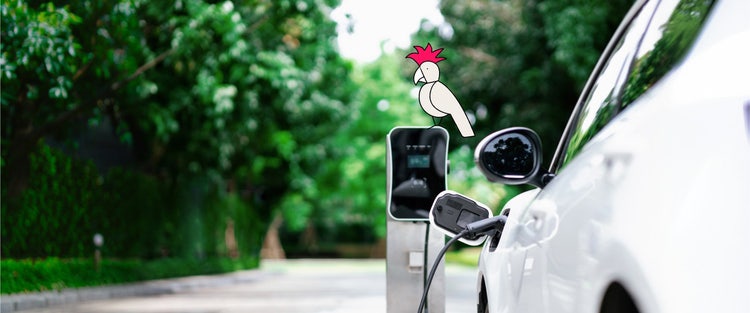 EV novated lease Australia: EV next to an EV charging installed on the wall.