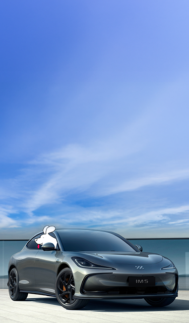 MG IM6
