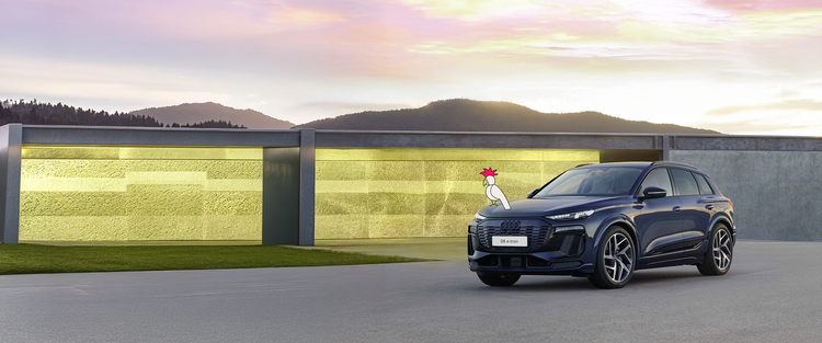 Audi Q6 e-tron