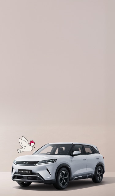 BYD ATTO 2