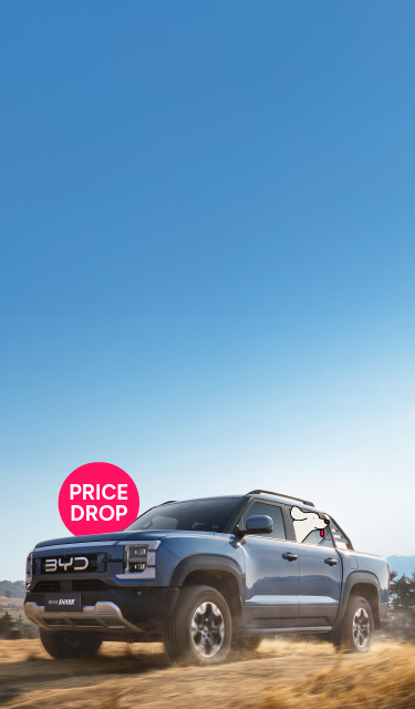 BYD Shark 6
