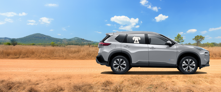 Nissan Shop Cars