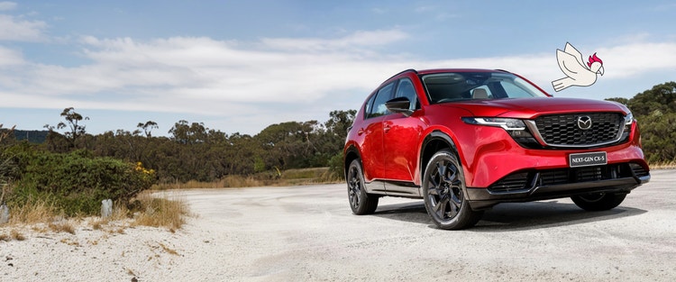 Mazda Shop Cars