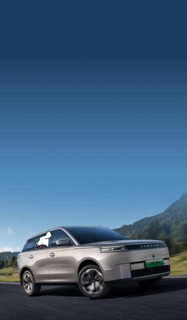 Jaecoo Shop Cars