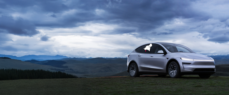 Tesla Model Y L