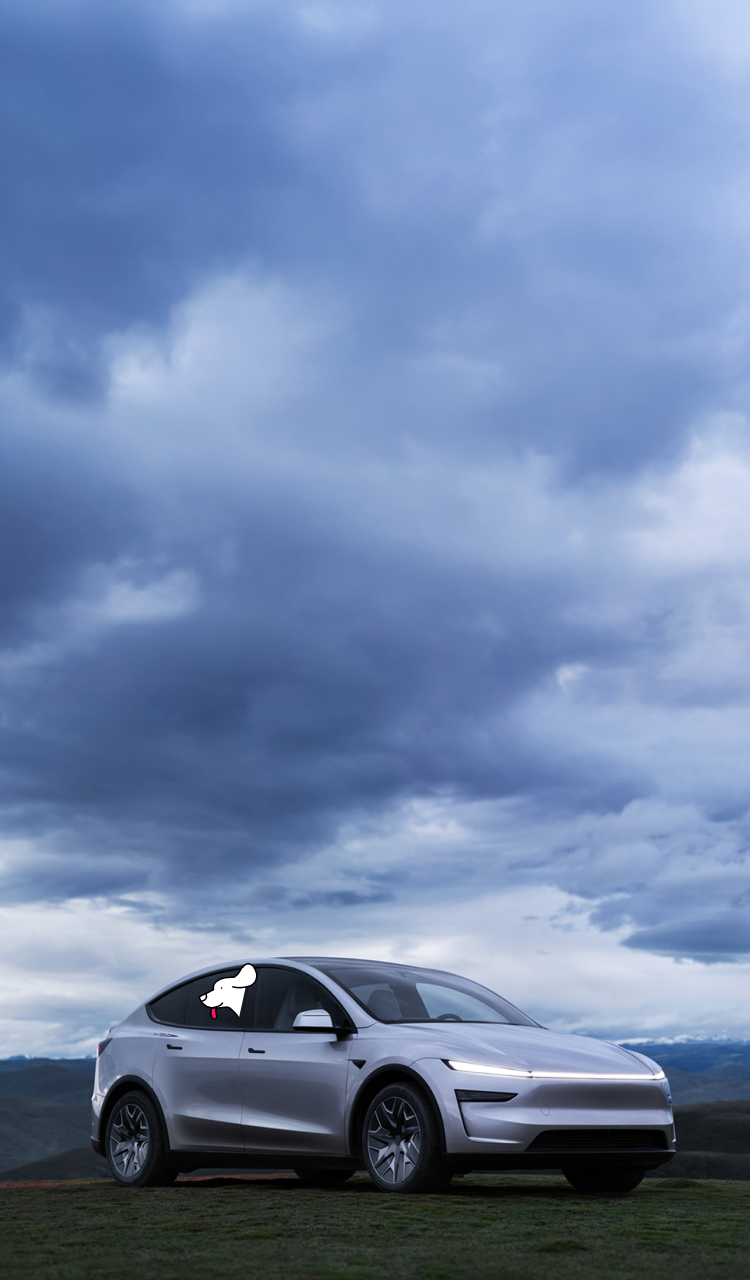 Tesla Model Y L